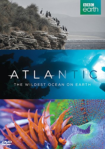 Атлантика самый необузданный океан на земле 2015